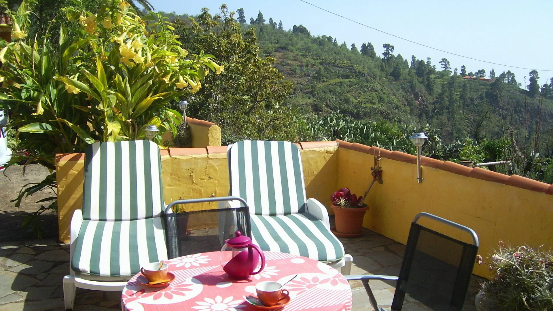 Casas Rurales Los Marantes Puntagorda 0*,