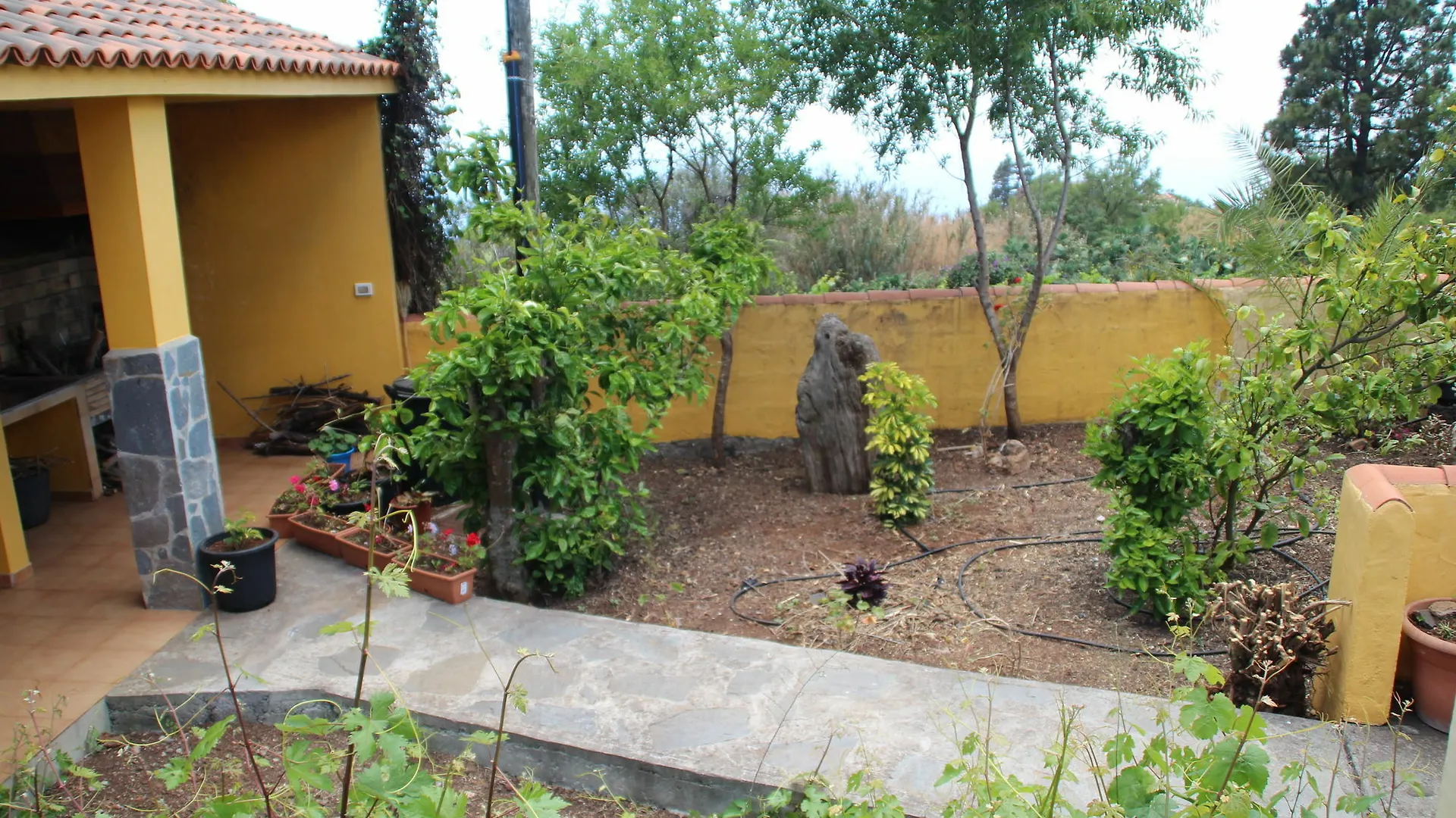 Casas Rurales Los Marantes Puntagorda Casa vacanze
