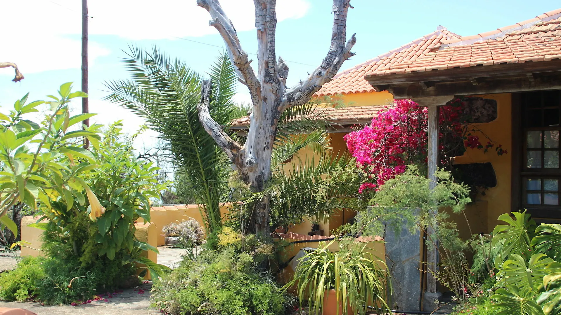 Casas Rurales Los Marantes Puntagorda Casa vacanze