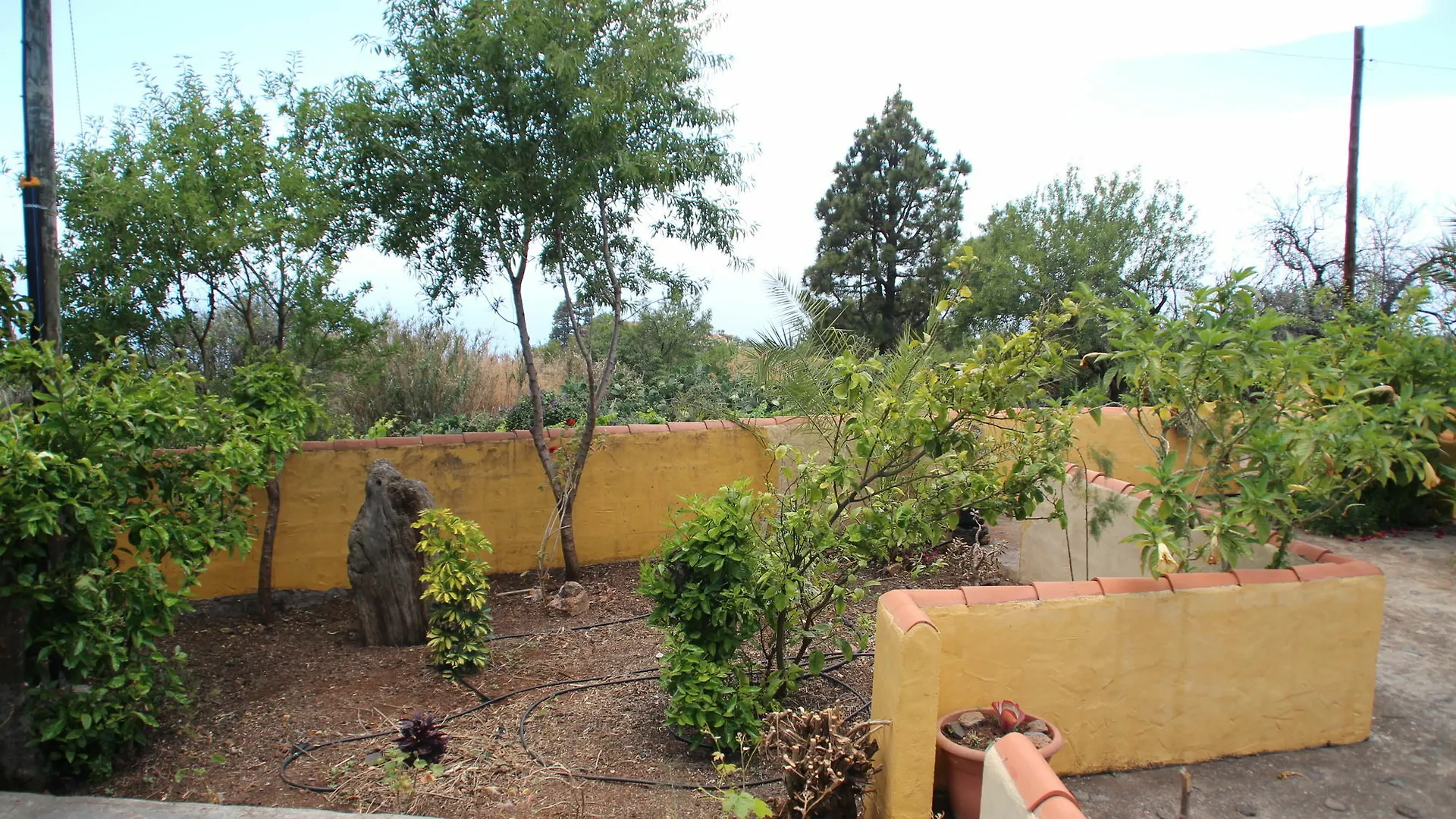 Casas Rurales Los Marantes Puntagorda 0*,  Spagna